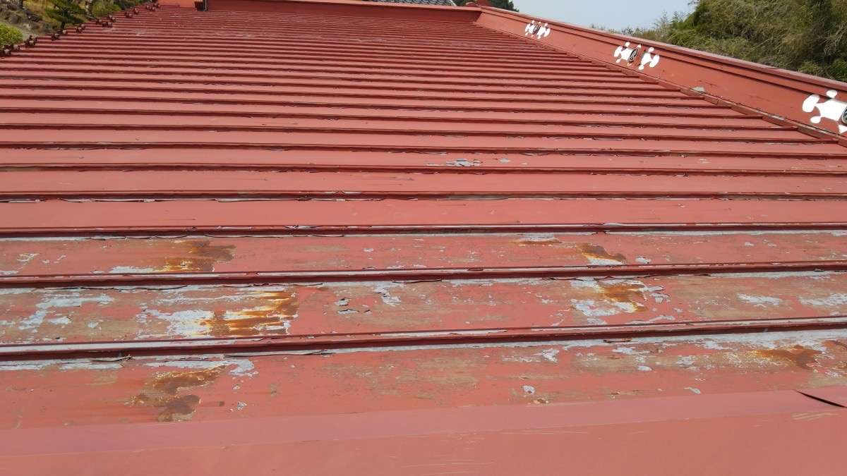 大きなトタン屋根の塗り替え